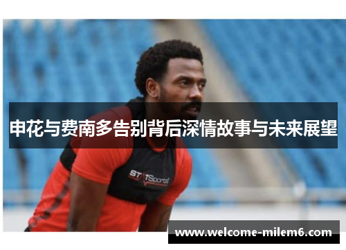 申花与费南多告别背后深情故事与未来展望