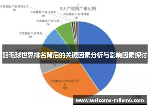 羽毛球世界排名背后的关键因素分析与影响因素探讨