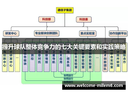 提升球队整体竞争力的七大关键要素和实践策略