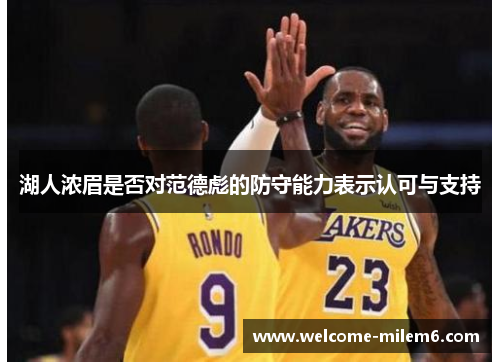 湖人浓眉是否对范德彪的防守能力表示认可与支持