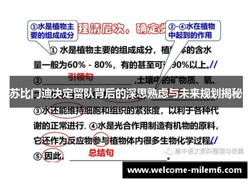 苏比门迪决定留队背后的深思熟虑与未来规划揭秘