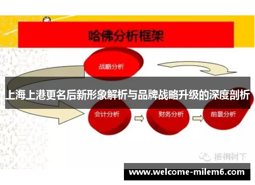 上海上港更名后新形象解析与品牌战略升级的深度剖析
