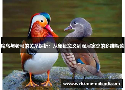 魔鸟与老马的关系探析：从象征意义到深层寓意的多维解读