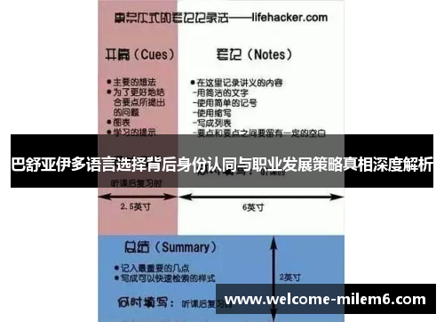 巴舒亚伊多语言选择背后身份认同与职业发展策略真相深度解析