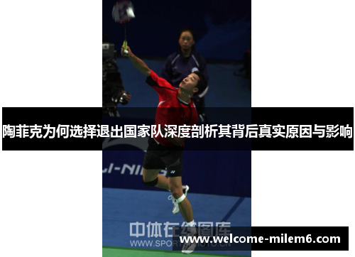 陶菲克为何选择退出国家队深度剖析其背后真实原因与影响